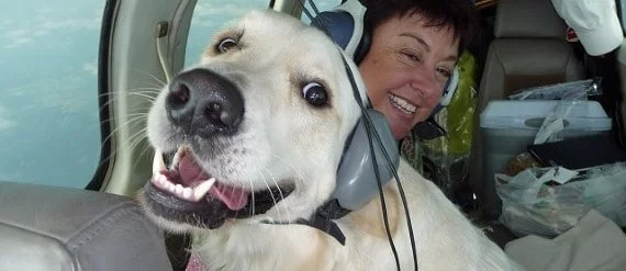 Noise Cancelling Headphones For Dogs