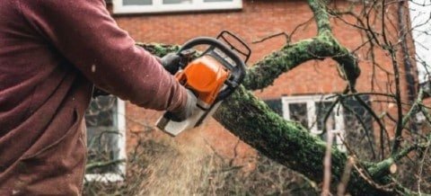 top most quietest silent chainsaw